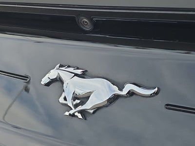 2023 Ford Mustang EcoBoost