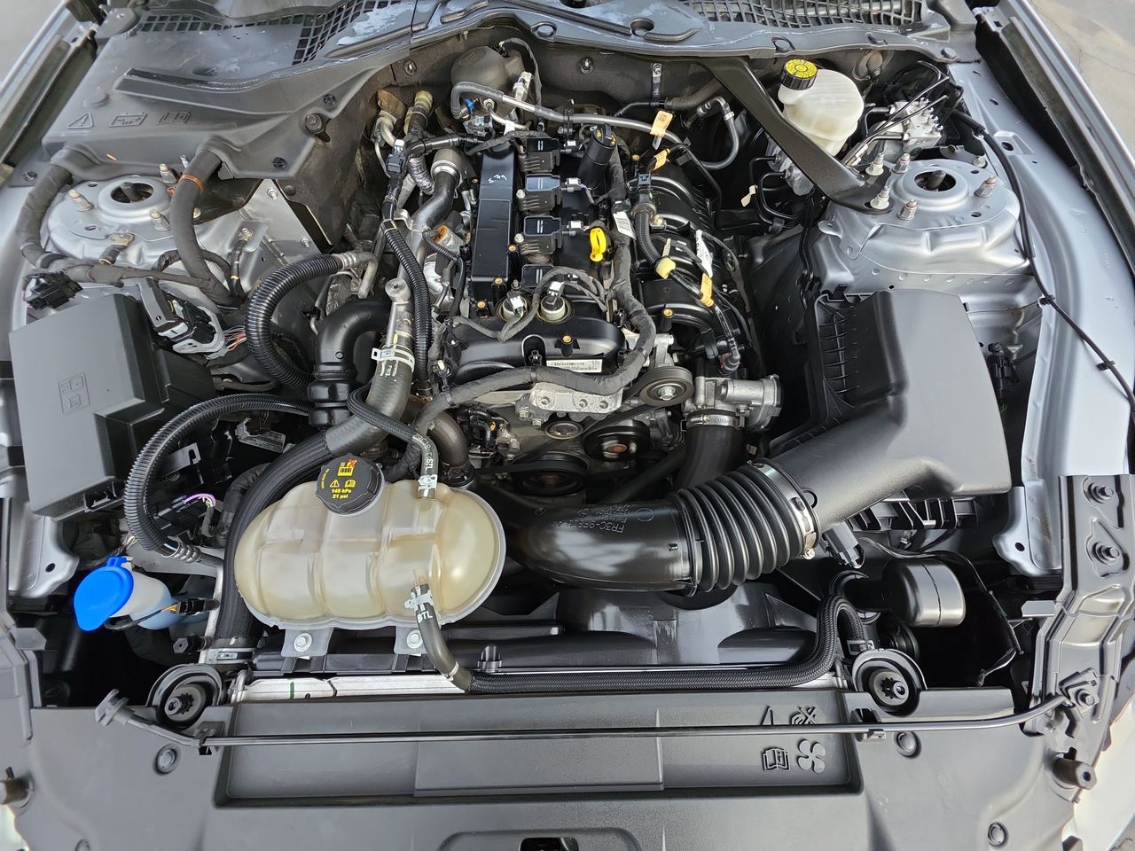 2023 Ford Mustang EcoBoost