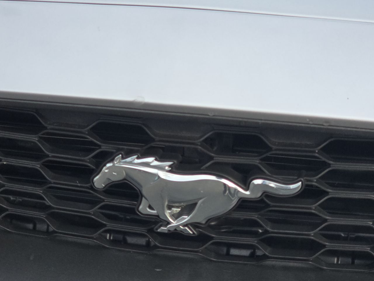 2023 Ford Mustang EcoBoost