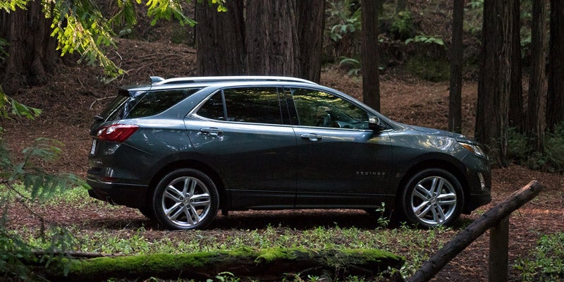 green Chevrolet Equinox in woods